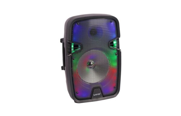 CN-S13004AC(D)-Z PARTE 1 PARLANTE PORTATIL CAFINI CN-S13004AC(D)/Z